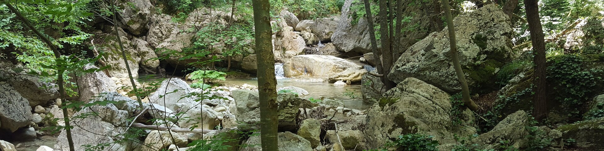 Gole del Salinello - forest