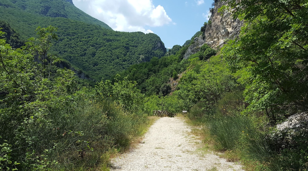 Gole del Salinello - road to the cave