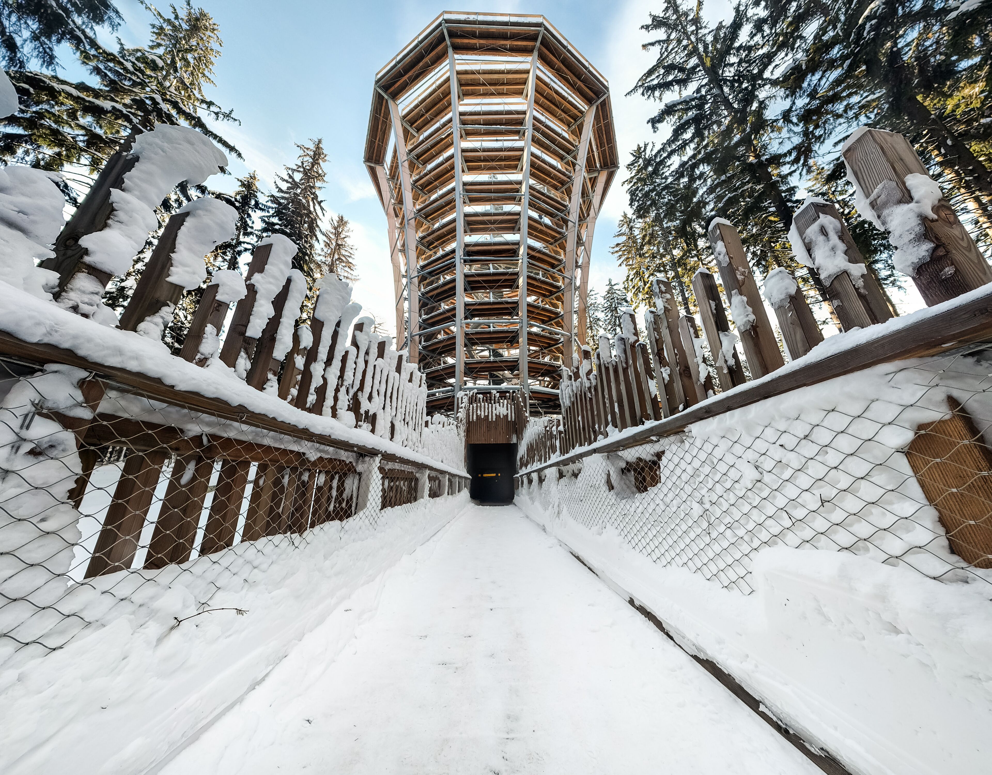 Tree Top Walk in Janske Lazne. High tower for walking tourists in the Krkonose forest in winter. The Timber Trail. Treetop walkway tower in Czech Republic