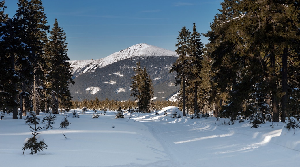 Czech Republic - Janske lazne - Cerna hora - Snezka