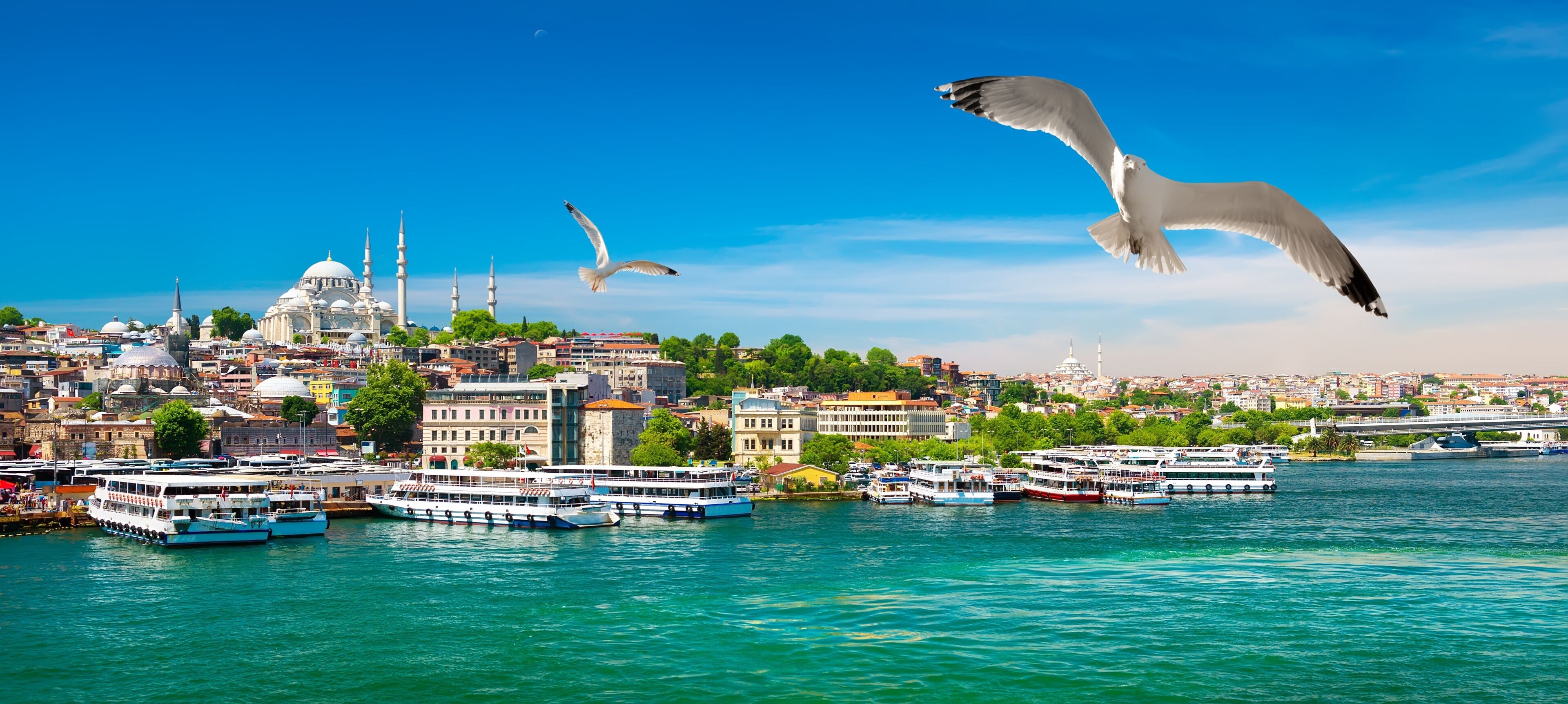 Golden Horn