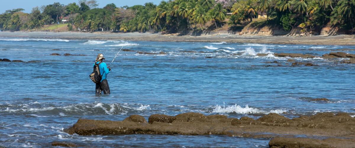 A person fishing in a rocky coastal area with palm trees in the background.