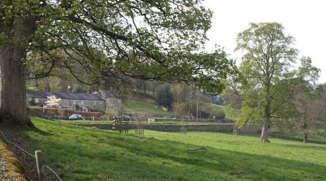 Houses on Darley Road, Birstwith. Seen across a meadow. This is close to 68163.