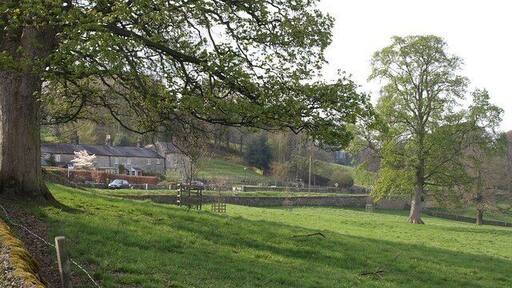 Houses on Darley Road, Birstwith. Seen across a meadow. This is close to 68163.