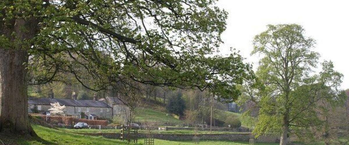 A grassy field with trees and a house in the background.