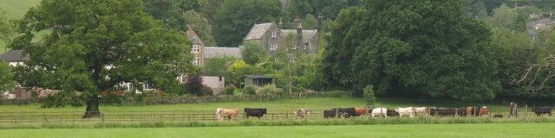 View across playing fields at Birstwith The goalposts have been taken down for the summer, so there is a clear view of grazing cattle and the village church on the hill.