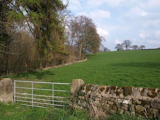 Elton Spring Elton Spring is the wood on the left bounded by the wall. Seen from Elton Lane.
