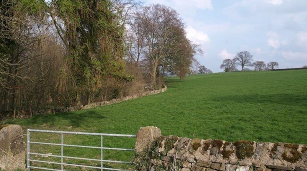 Elton Spring Elton Spring is the wood on the left bounded by the wall. Seen from Elton Lane.