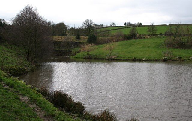 Fringill dam [2] The lower of the two millponds in this small side valley. The upper dam can be seen in the background. Water from these ponds supplied power for Fringill Mill.