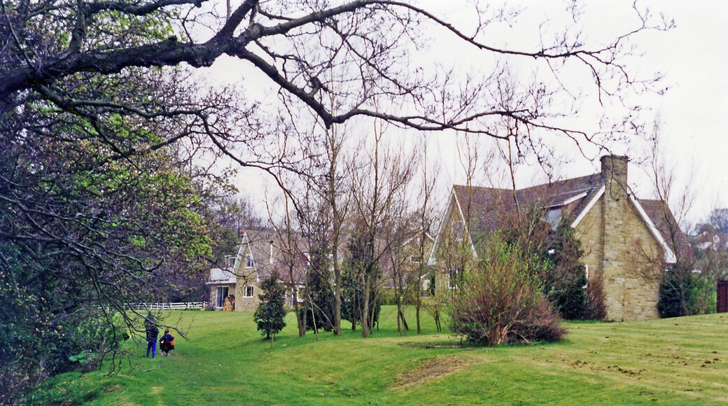 Site of former Darley station. View eastward along track of ex-NER Pateley Bridge from Harrogate. The station seemingly where the new houses are, closed 2/4/51 to passengers (goods 2/10/53); goods continued to Pateley Bridge until 31/10/64.