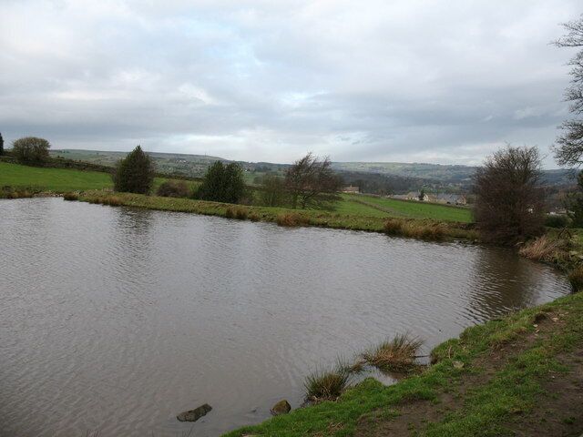 Fringill dam The lower of two mill dams on Fringill Beck above the village of Darley.