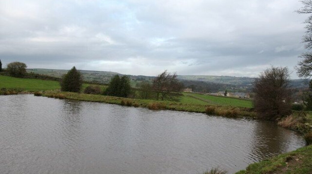 Fringill dam The lower of two mill dams on Fringill Beck above the village of Darley.