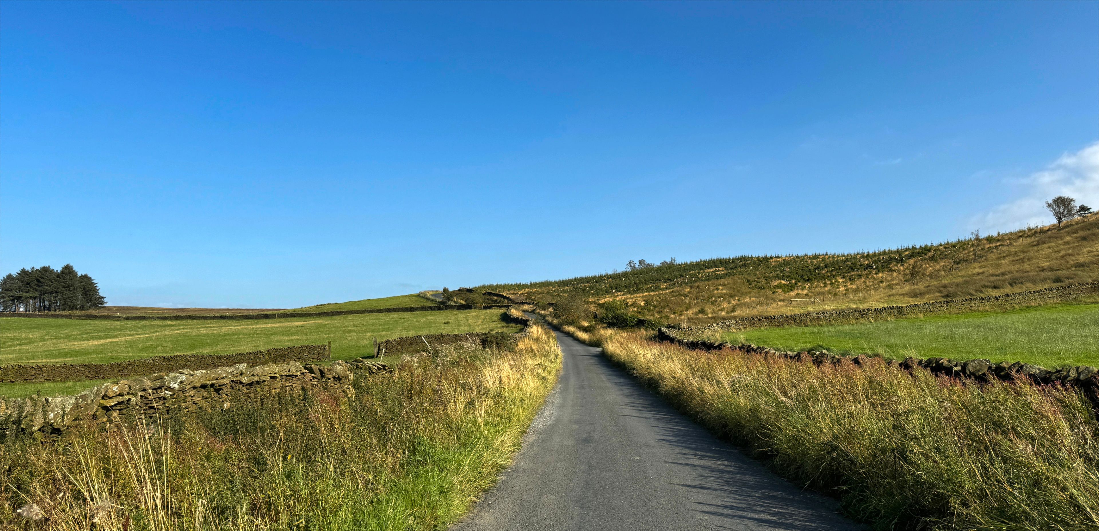 Moor Lane stretches into the distance, bordered by lush green fields and dry stone walls under a clear blue sky. The landscape conveys a serene and rural atmosphere in, Elslack, Skipton, UK