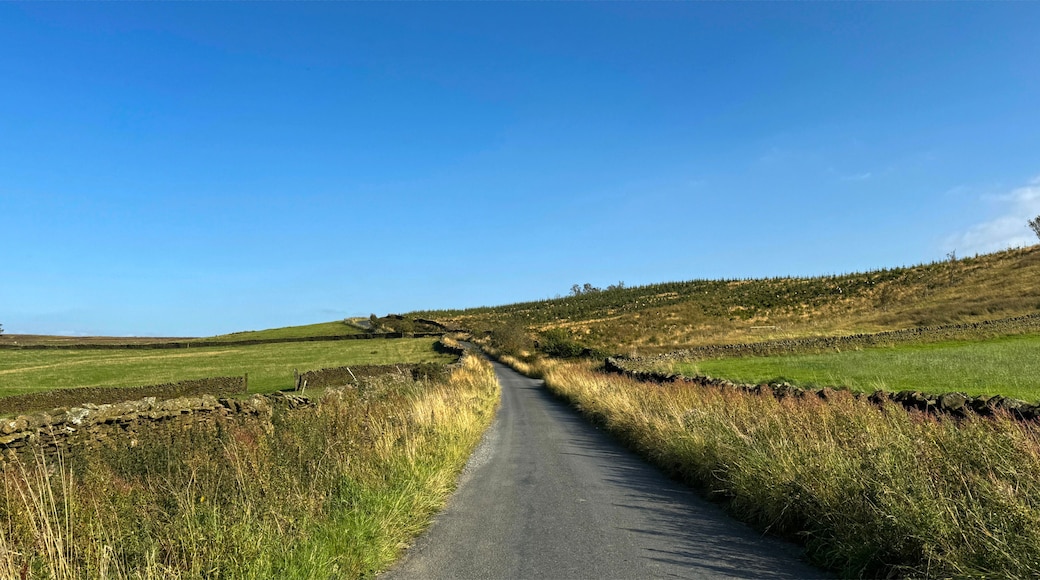 A rural road flanked by stone walls and grassy fields under a clear blue sky.