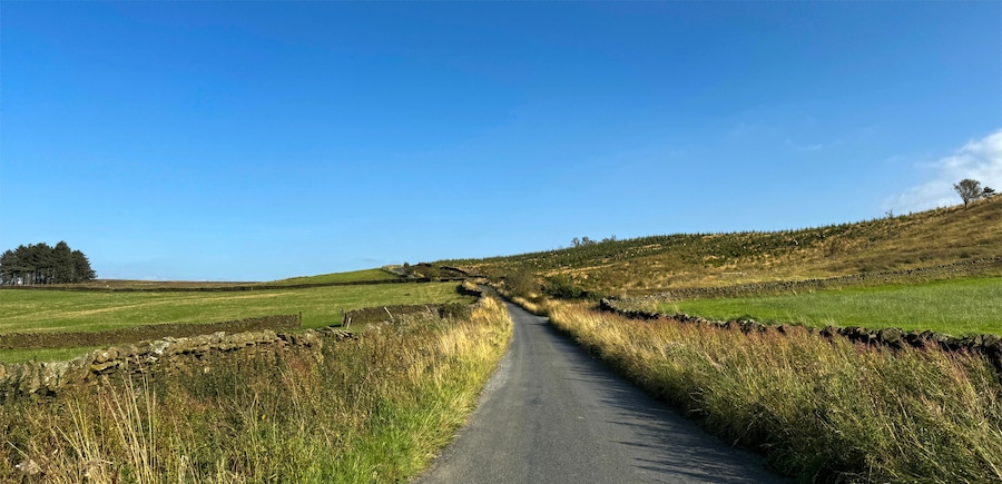 Eine ländliche Straße, gesäumt von Steinmauern und grünen Feldern, unter einem wolkenlosen, blauen Himmel.