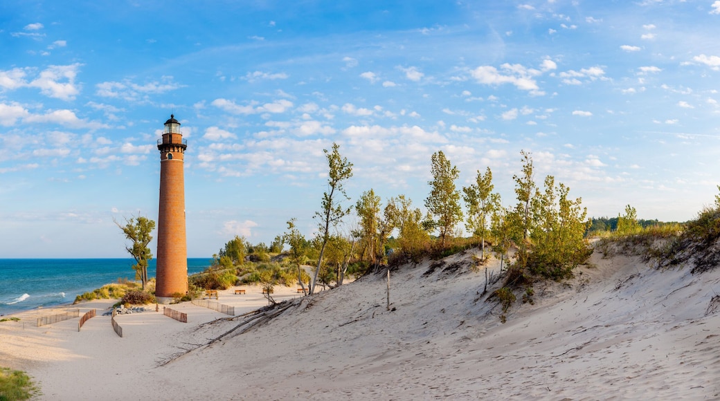 64795-03104 Little Sable Point Lighthouse near Mears, MI