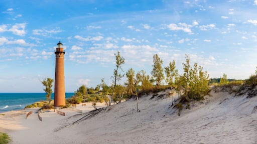 64795-03104 Little Sable Point Lighthouse near Mears, MI