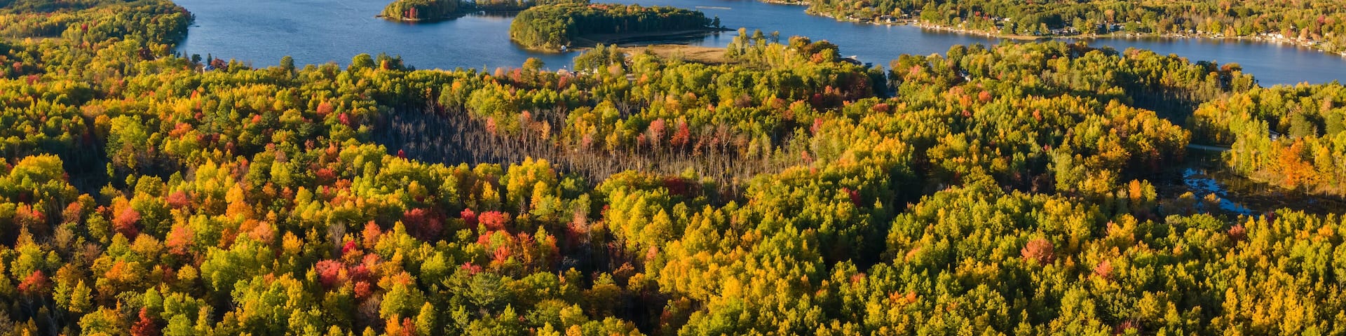 A lake surrounded by dense forest with autumn foliage.