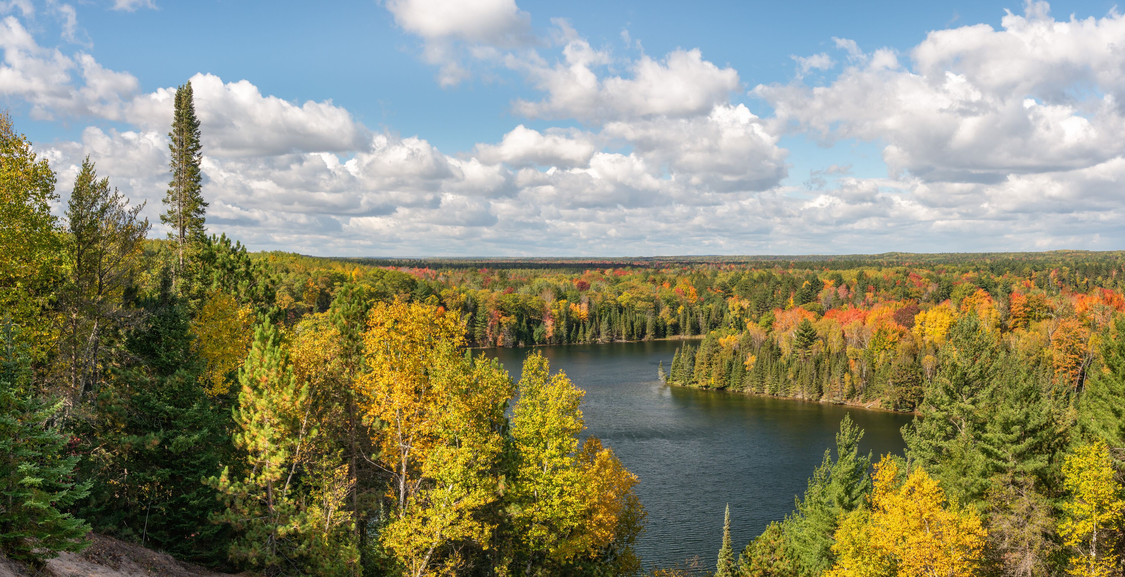 Autumn colors in the Huron Manistee National Forests along the Ausable River 