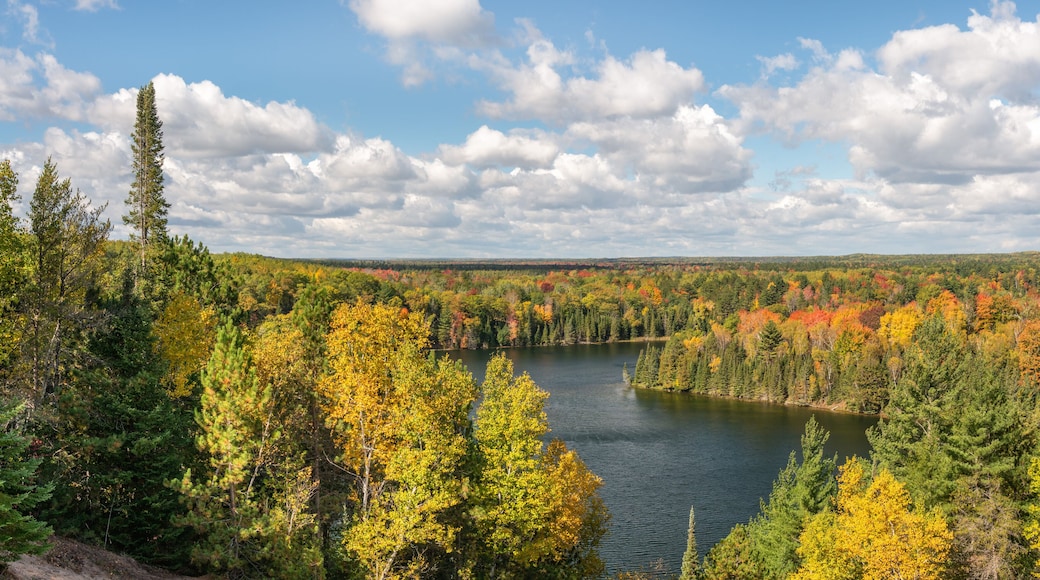 Autumn colors in the Huron Manistee National Forests along the Ausable River