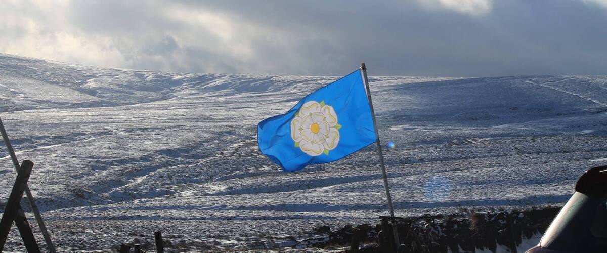 A snowy landscape with a flag featuring a blue background and a white flower.