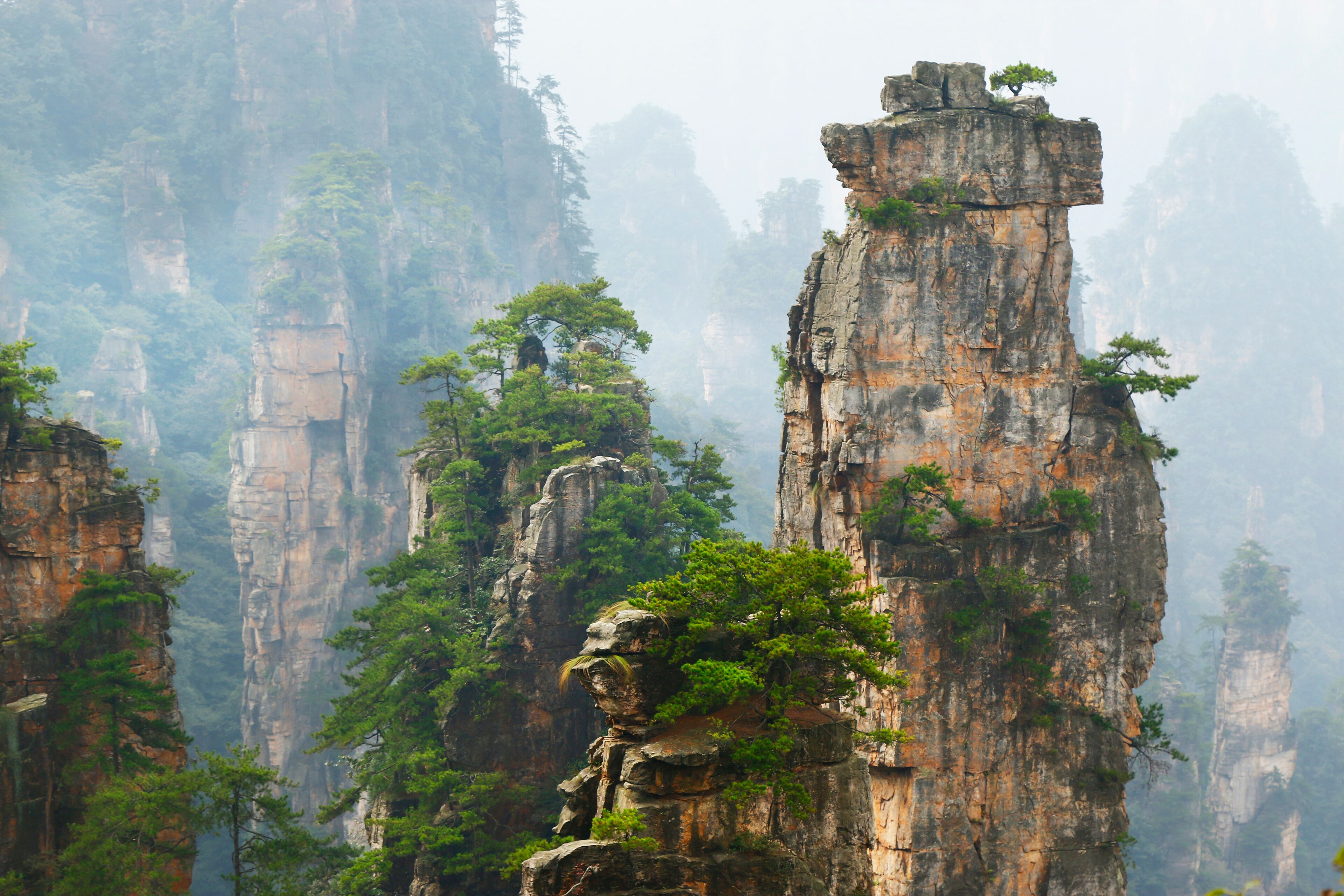 view of limestone cliff in Zhangjiajie national park, hunan,China