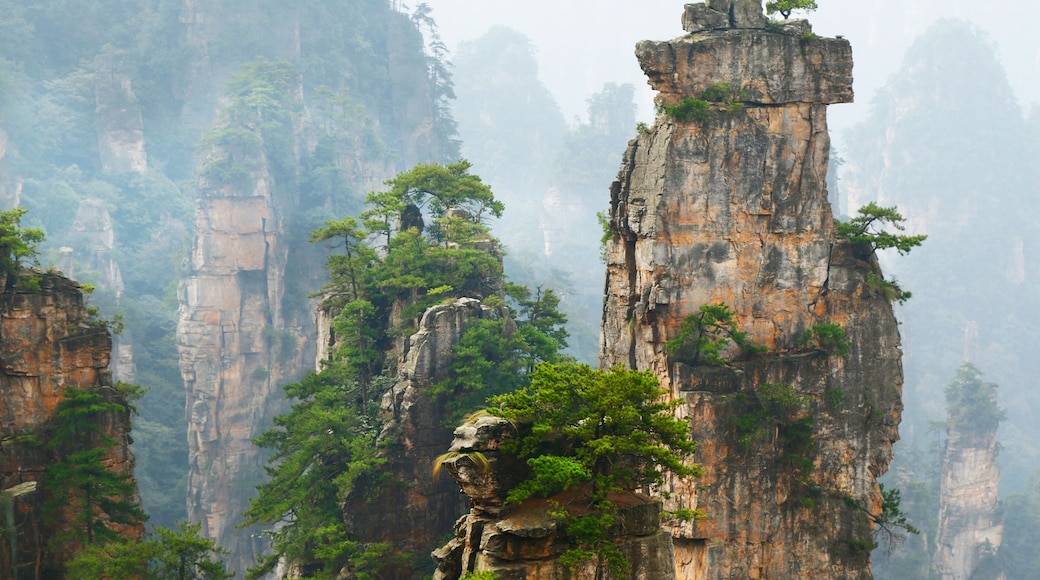 view of limestone cliff in Zhangjiajie national park, hunan,China
