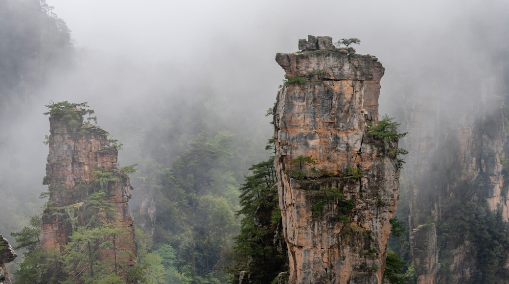 mist in the forest. panoranic view of zhangjiajie national forest park Hunan, China.. a view from the top of the mountain. a view of the mountain covered with mist after the rain.
