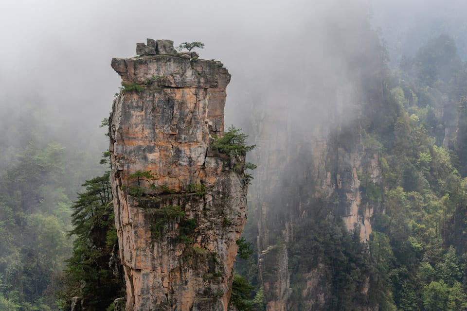 A misty forest with tall, rugged rock formations.