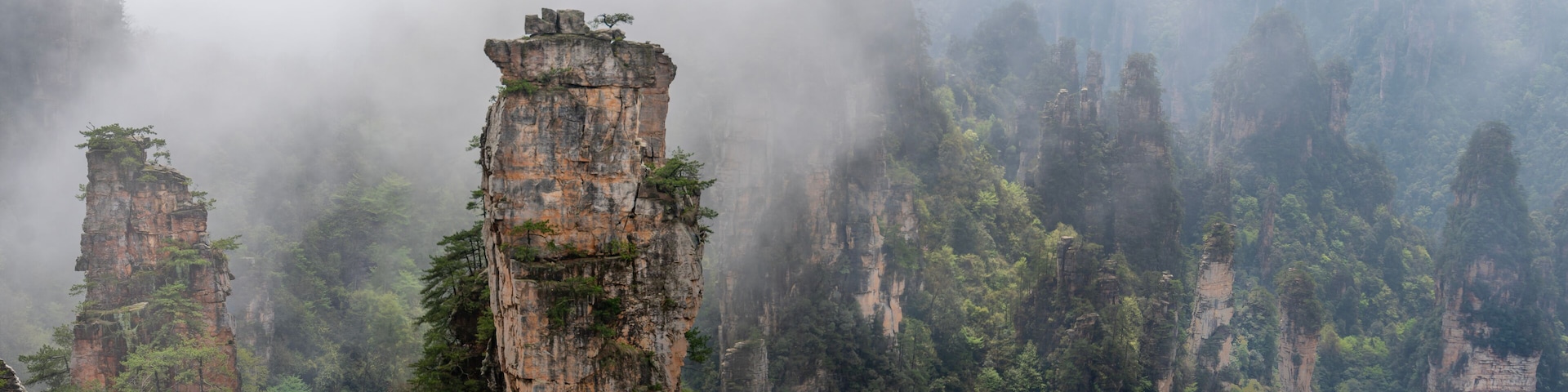 mist in the forest. panoranic view of zhangjiajie national forest park Hunan, China.. a view from the top of the mountain. a view of the mountain covered with mist after the rain.