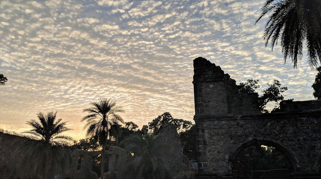 Captured at Vasai Fort, India. Also knows as Fort Bassein which was built in 1184.
#archeologicalsite #ruins #india #fort #outdoors