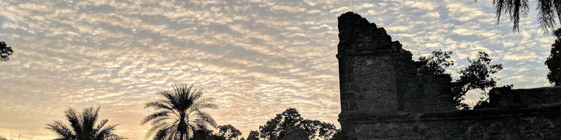 Captured at Vasai Fort, India. Also knows as Fort Bassein which was built in 1184.
#archeologicalsite #ruins #india #fort #outdoors