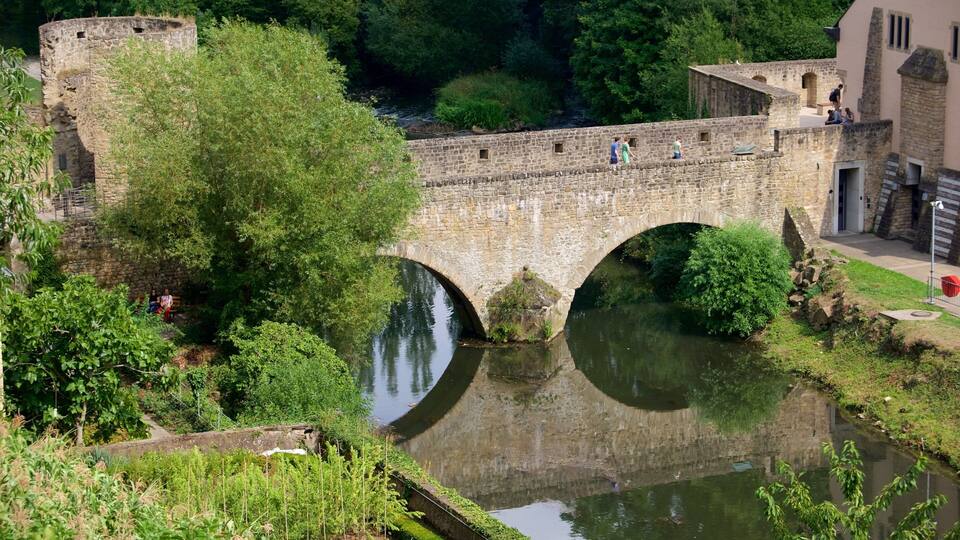 A stone bridge over a river, surrounded by greenery and historic buildings.