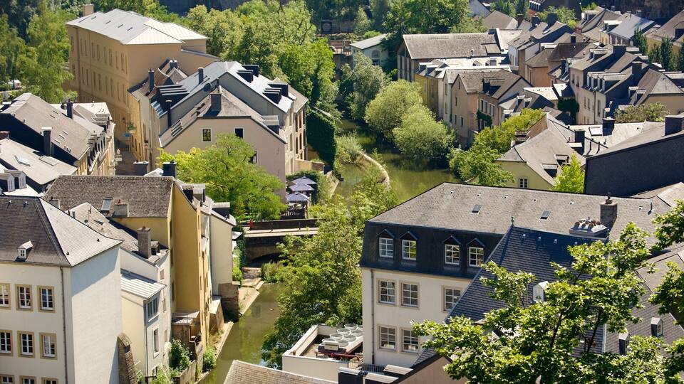 A river winding through a densely packed town with historic buildings and lush greenery.