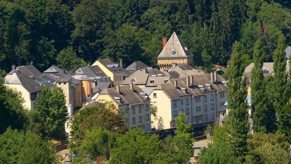 A town with historic buildings and a prominent tower.