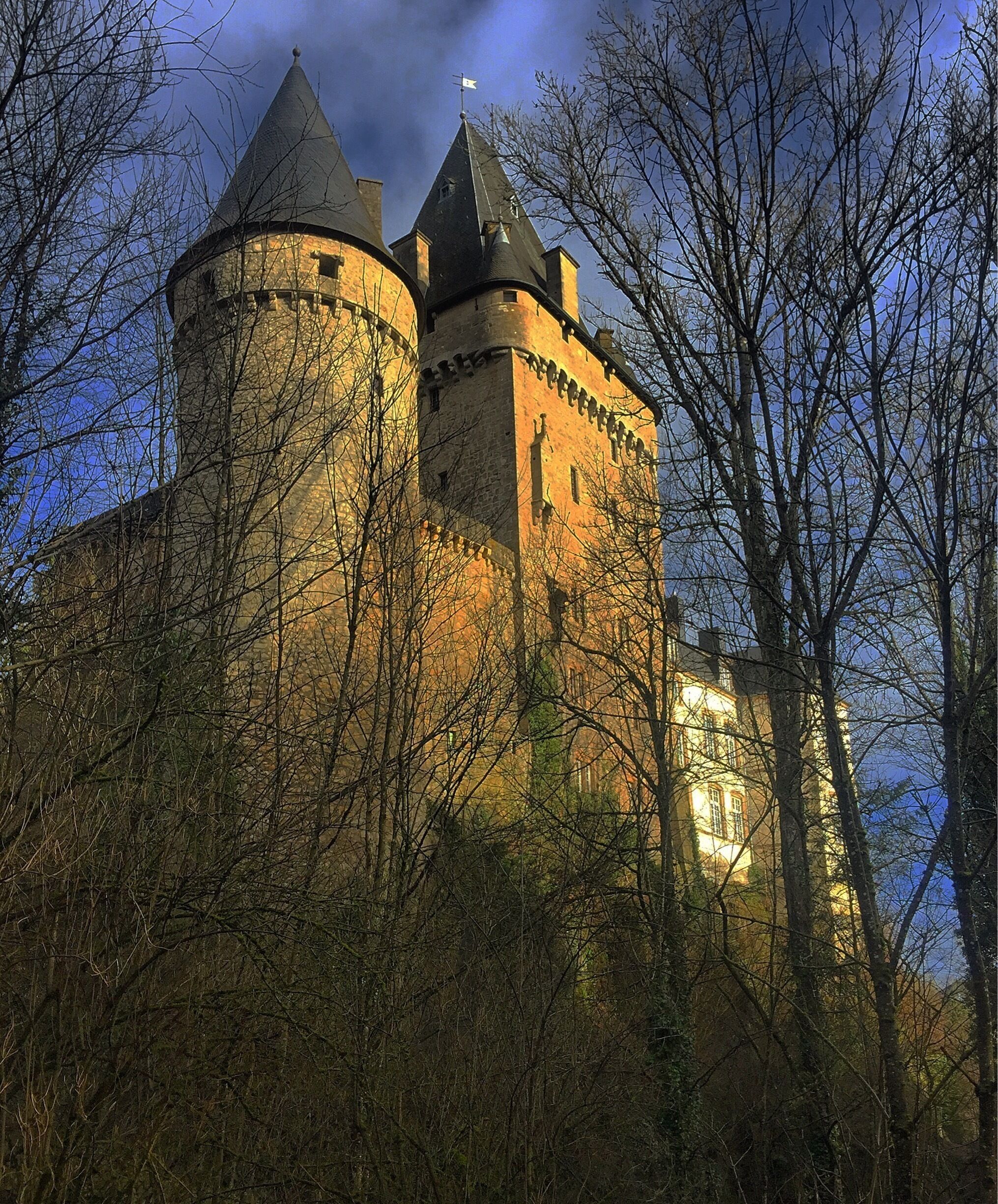 A medieval castle with two prominent towers, surrounded by dense forest.