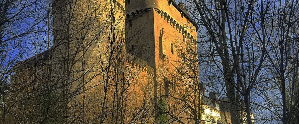 A medieval castle with two prominent towers, surrounded by dense forest.