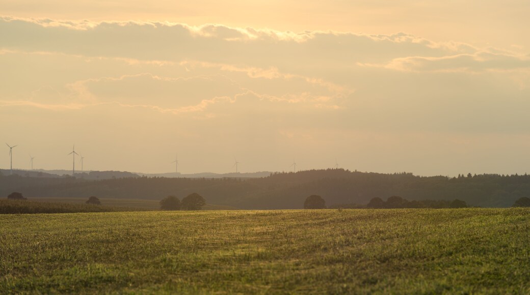 Beautiful, hazy landscape at sunset, with wind turbines in the background. Agriculture mixed with renewable energy. Representing hope for future generations. Hosingen, Luxembourg.
