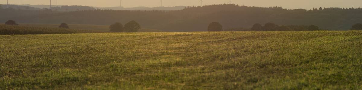 Beautiful, hazy landscape at sunset, with wind turbines in the background. Agriculture mixed with renewable energy. Representing hope for future generations. Hosingen, Luxembourg.