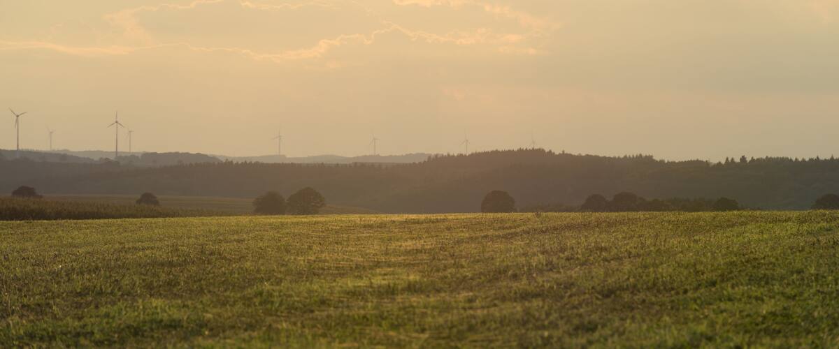 A field with wind turbines in the distance under a cloudy sky.