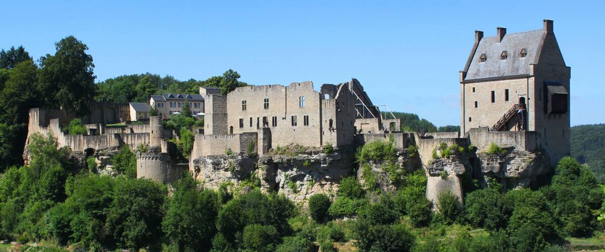 A medieval castle with multiple towers and walls, surrounded by lush greenery and trees.