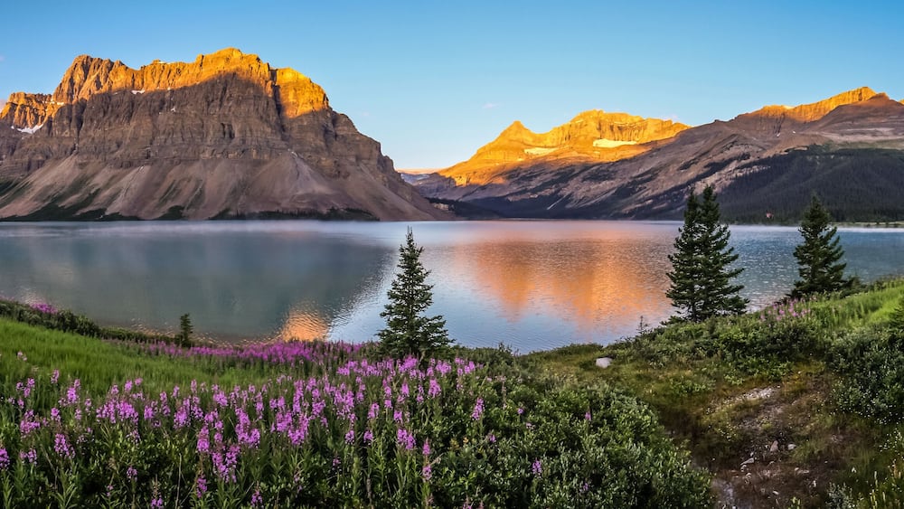 Panorama of sunrise at Bow Lake, Banff National Park