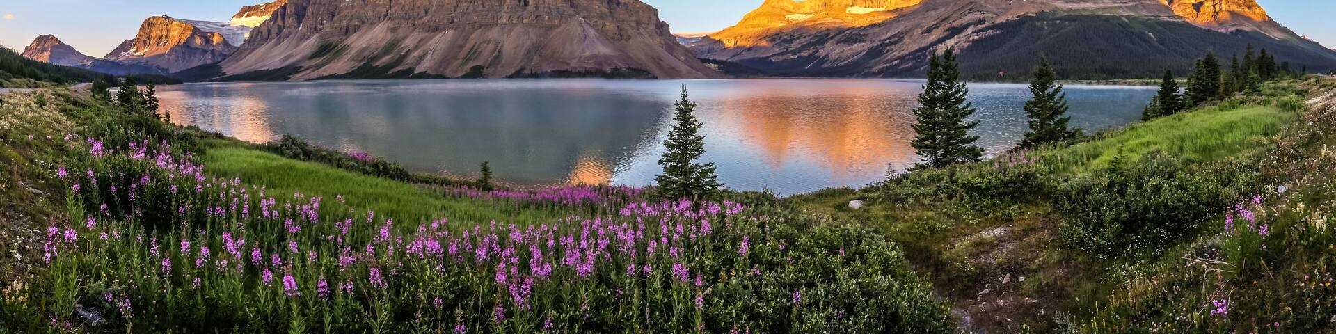Panorama of sunrise at Bow Lake, Banff National Park