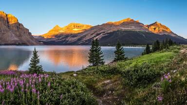 Panorama of sunrise at Bow Lake, Banff National Park