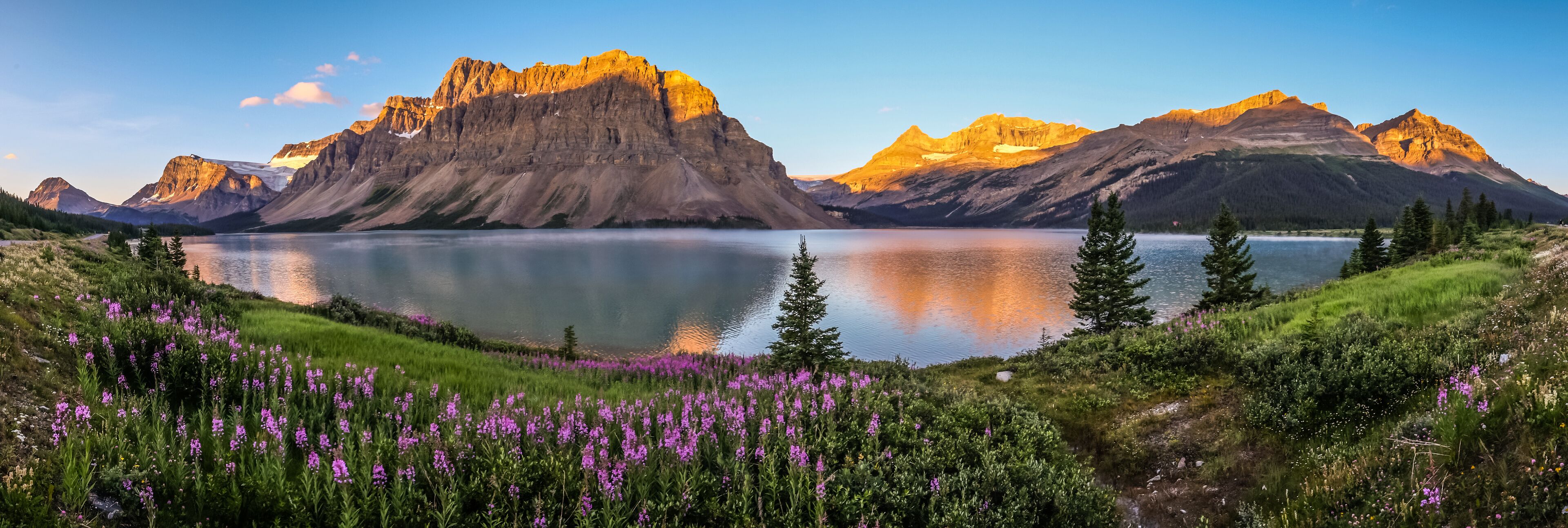 A mountain range, a lake, and purple wildflowers.