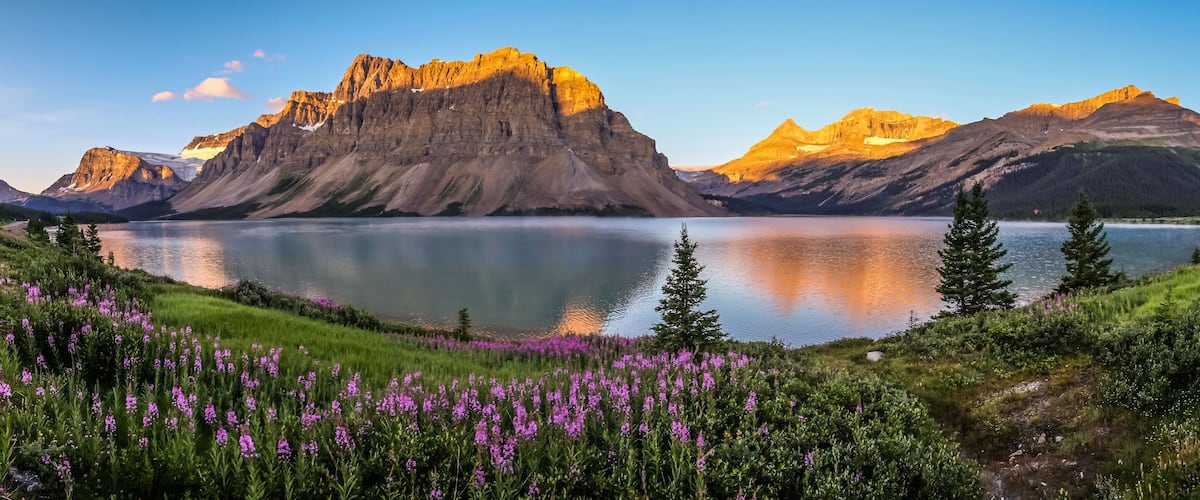 A mountain range, a lake, and purple wildflowers.