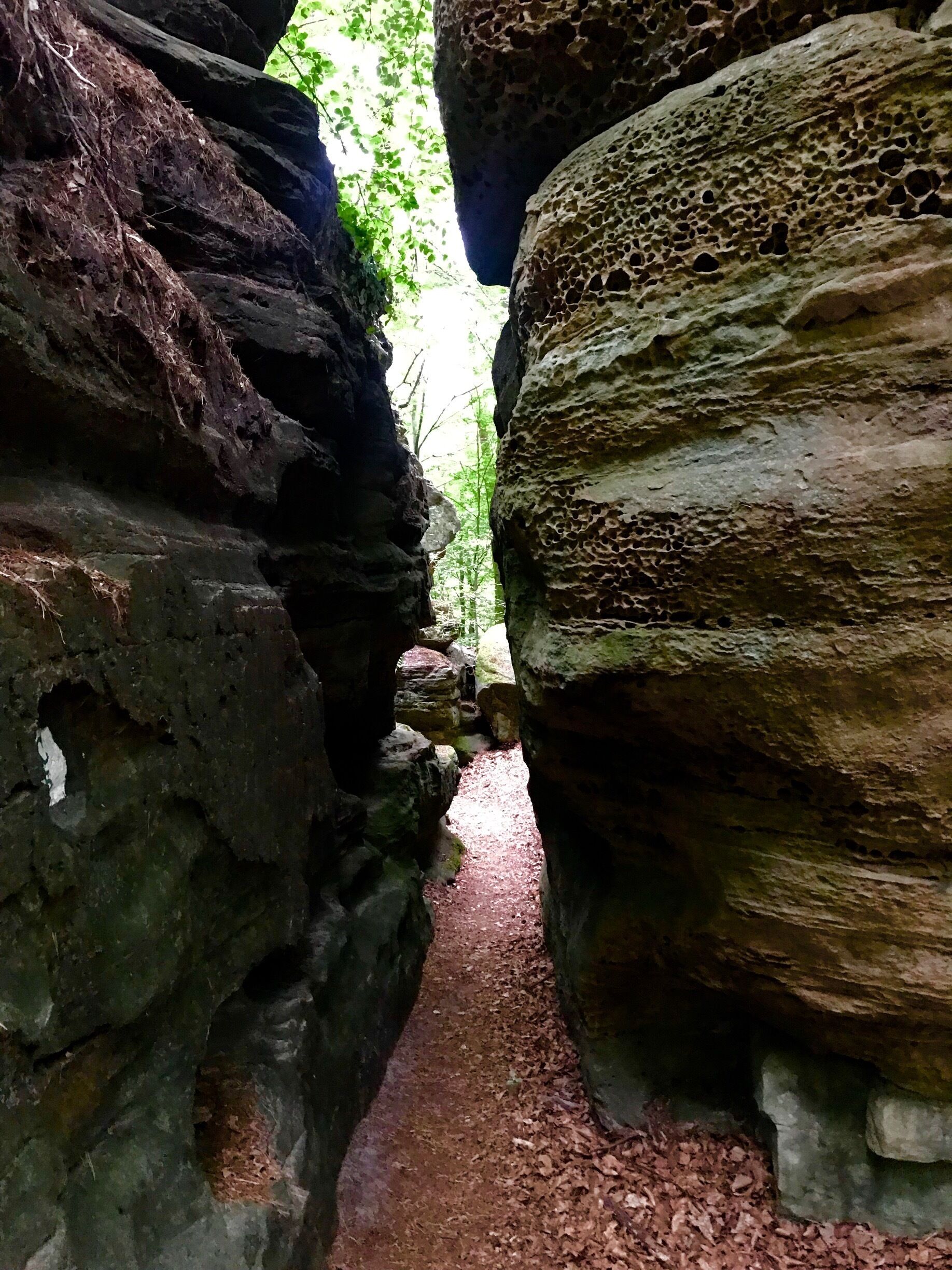 Mullerthal trail in Luxembourg....😀