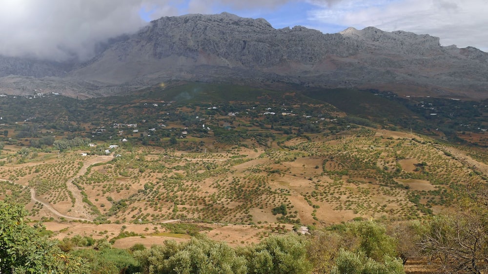 Beautiful valley with tree, shrubs and bushes and a little mountain village in front of the foggy Rif / Riff mountains in the North of Morocco, Africa