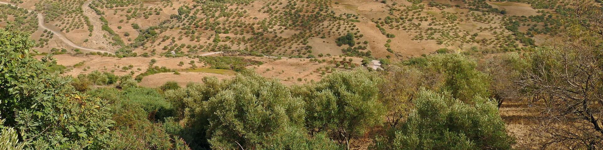 Beautiful valley with tree, shrubs and bushes and a little mountain village in front of the foggy Rif / Riff mountains in the North of Morocco, Africa