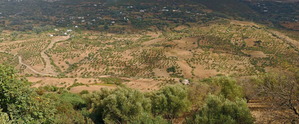 A mountainous landscape with a village nestled in the valley.